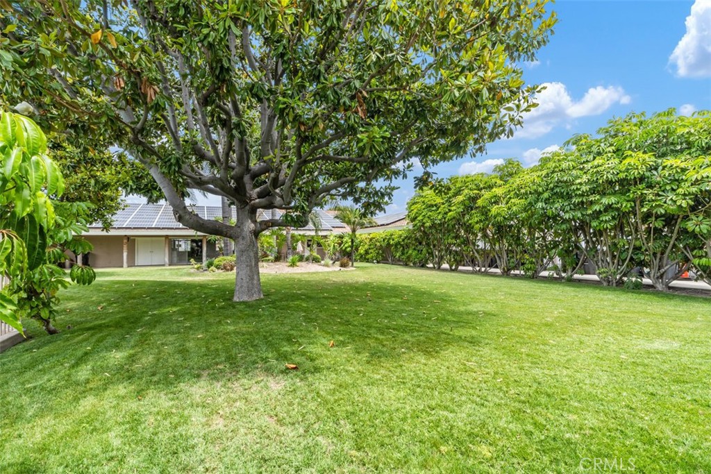 3050 W Ball Road 125G