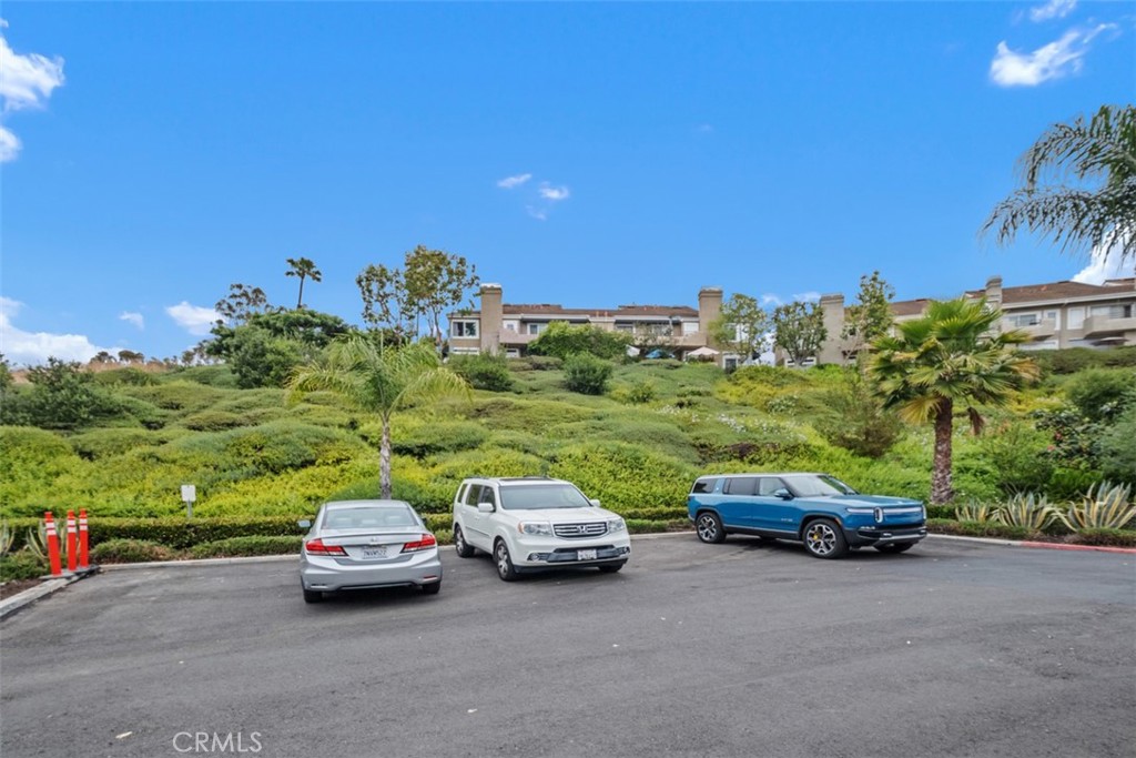 25066 El Carrizo