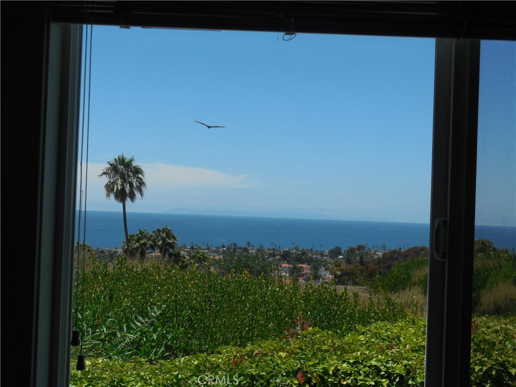 124 Avenida Presidio 13
