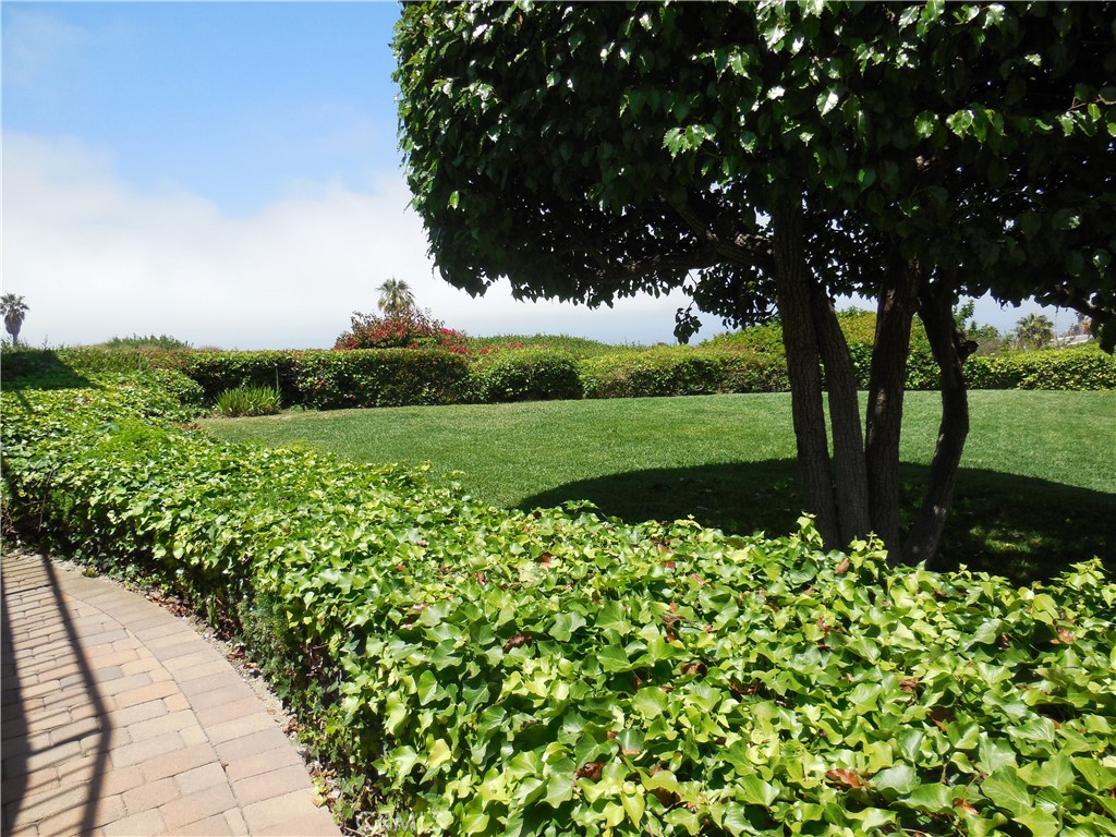 124 Avenida Presidio 13