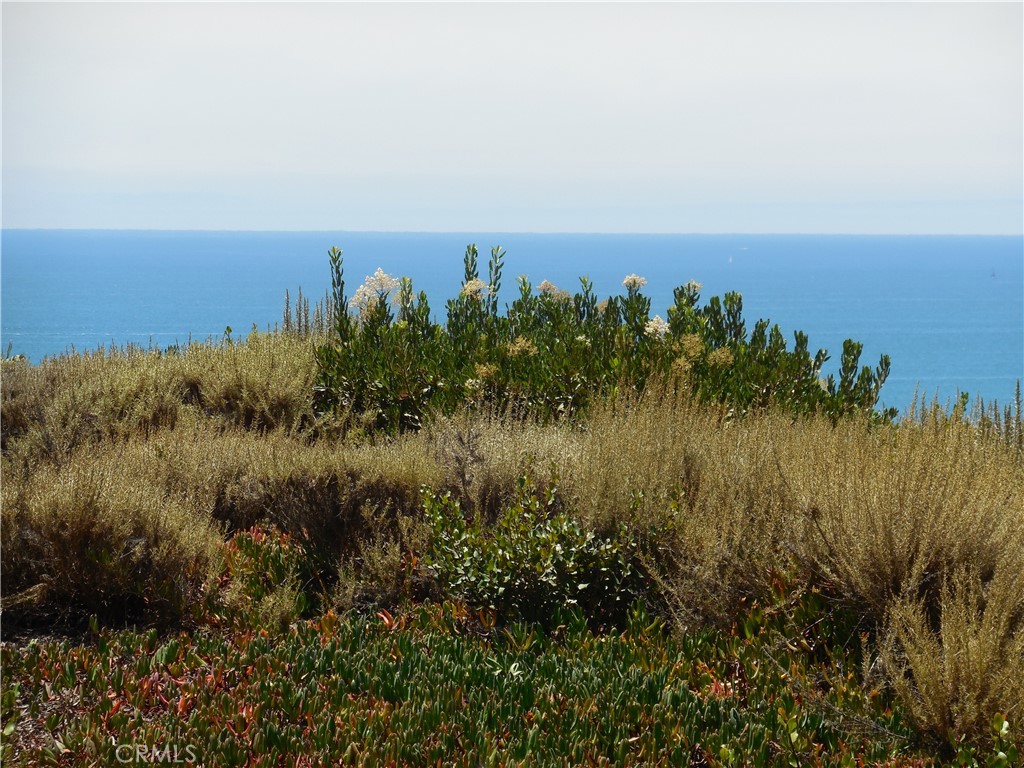 124 Avenida Presidio 13