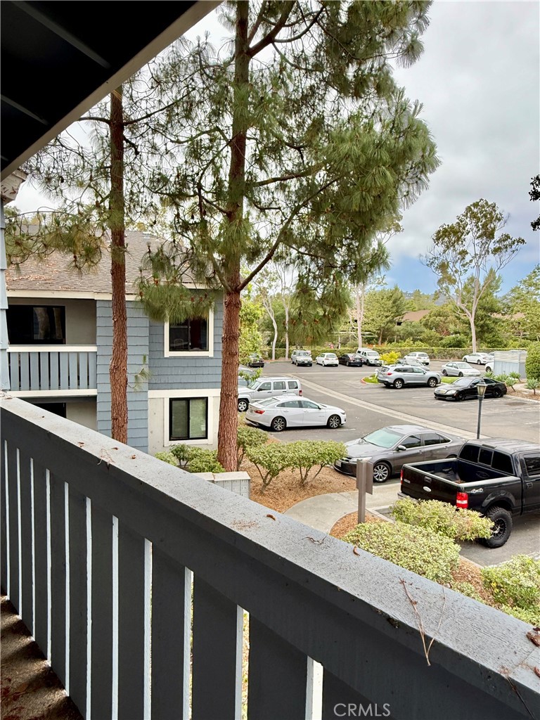 25611 Quail Run 84