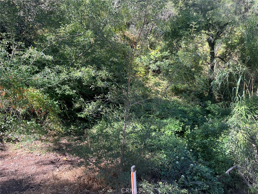 14875 Mill Road