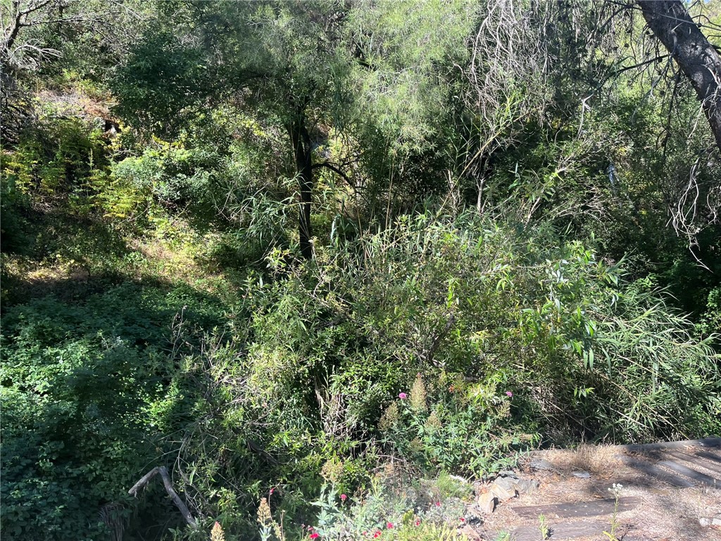 14875 Mill Road