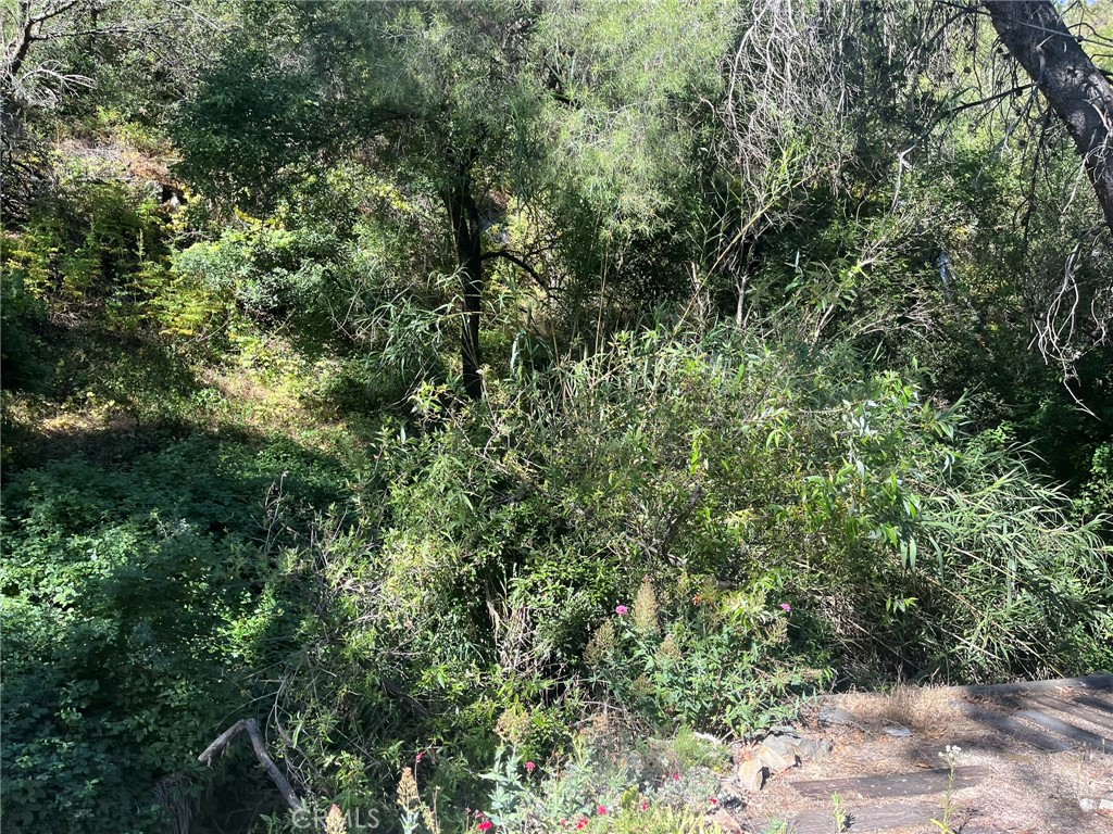 14875 Mill Road