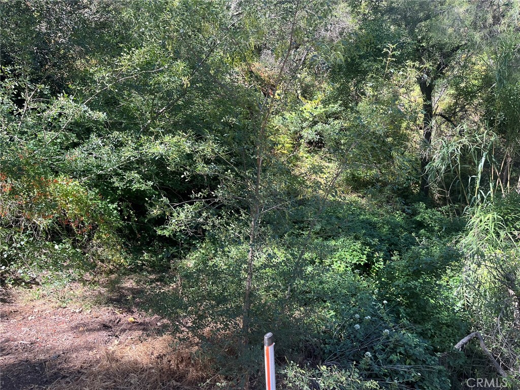 14875 Mill Road