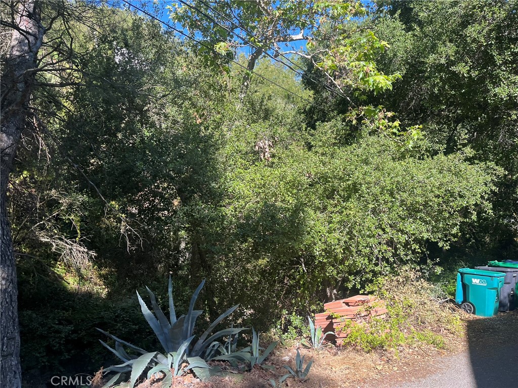 14875 Mill Road