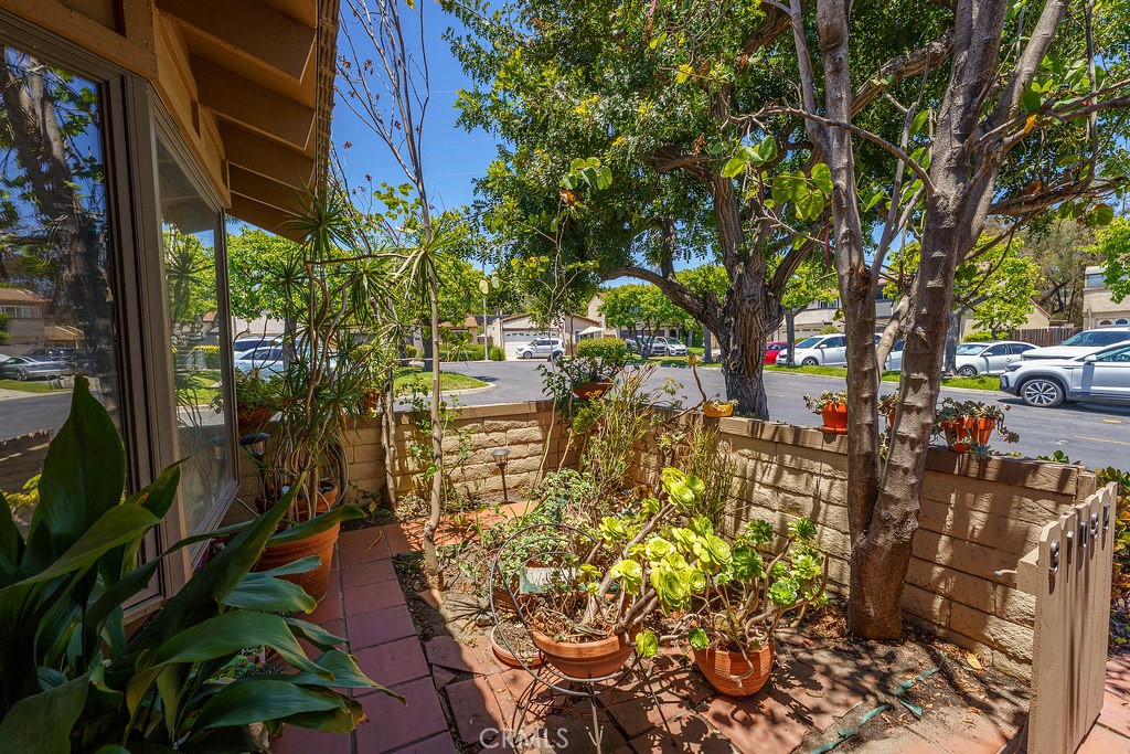 31085 Via San Vicente