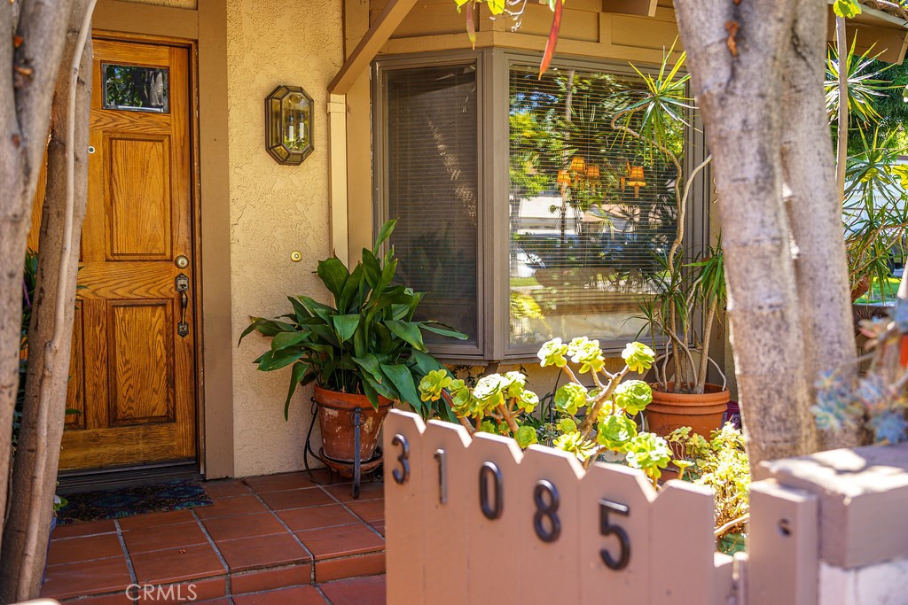 31085 Via San Vicente