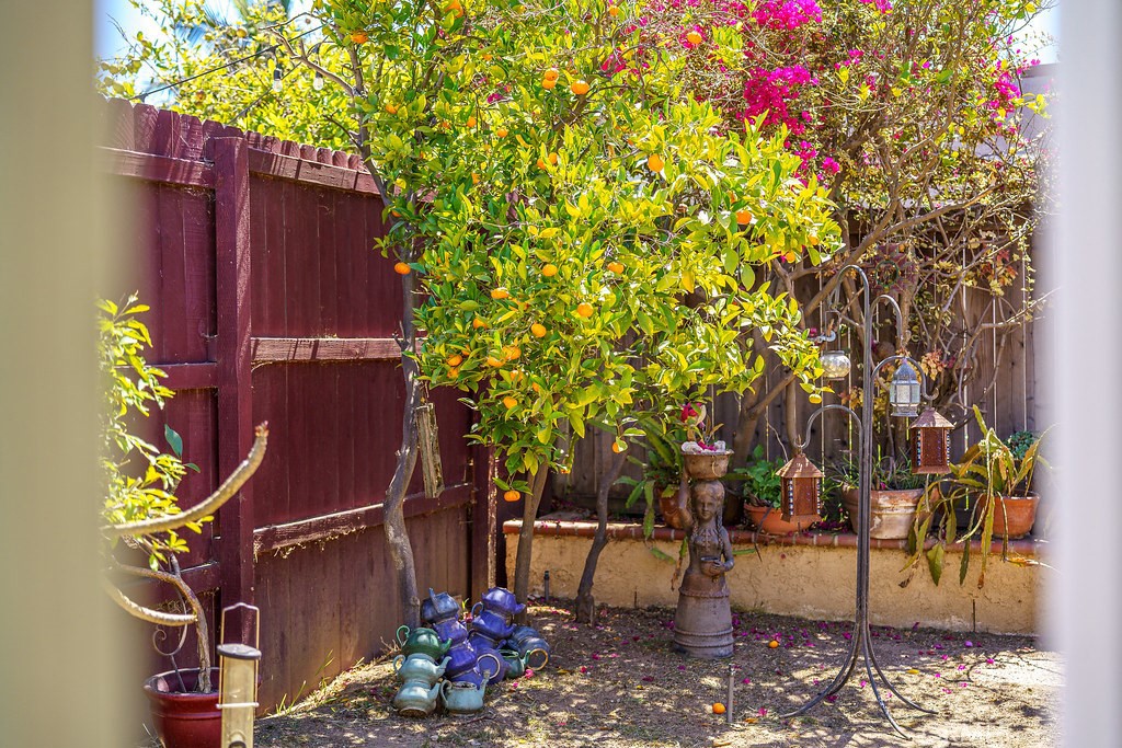 31085 Via San Vicente