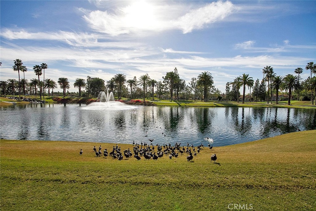 2140 Chandler Drive