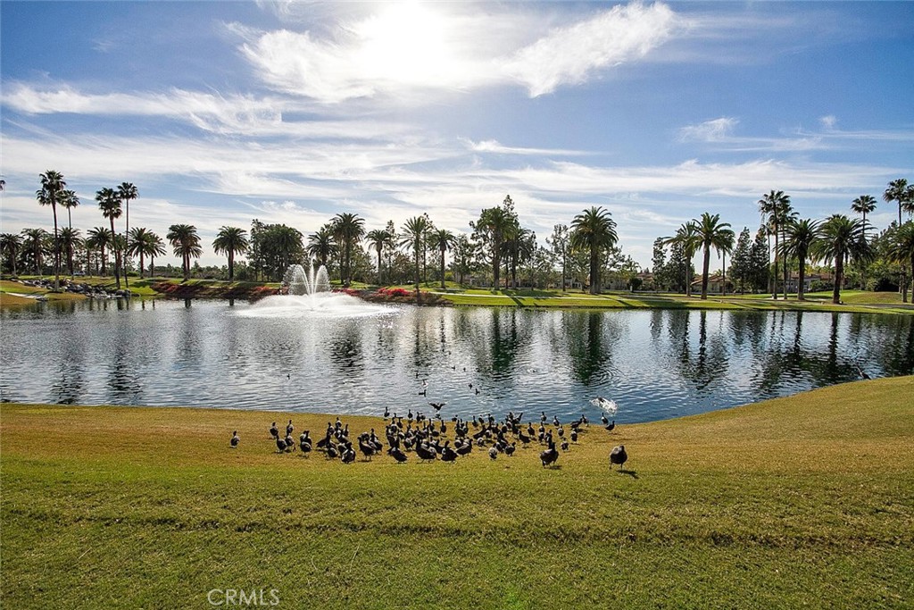 2140 Chandler Drive