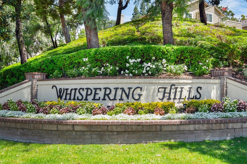 26232 Morning Glen 52