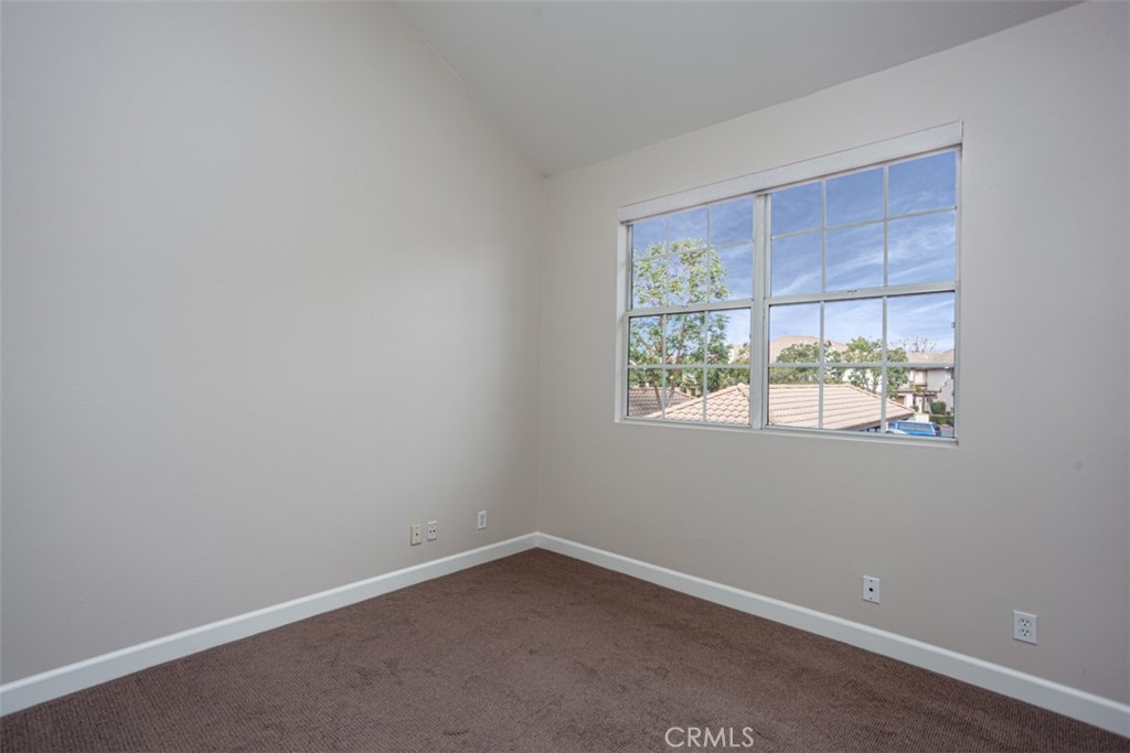 13436 Savanna