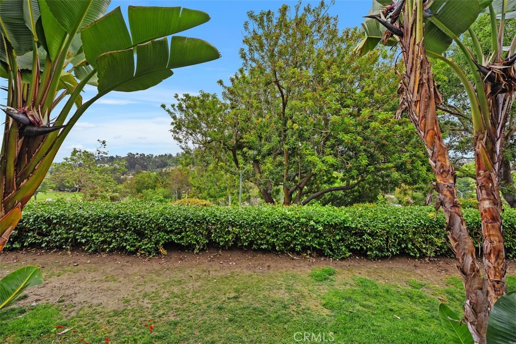 30902 Clubhouse Drive 28C