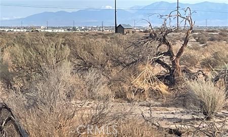 52 Vac/Cor Avenue G8/52nd Stw