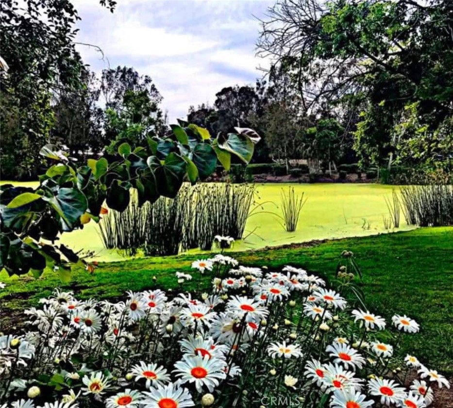 6852 Vista Del Sol Drive