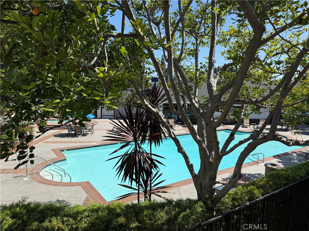 23412 Pacific Park Drive 36D