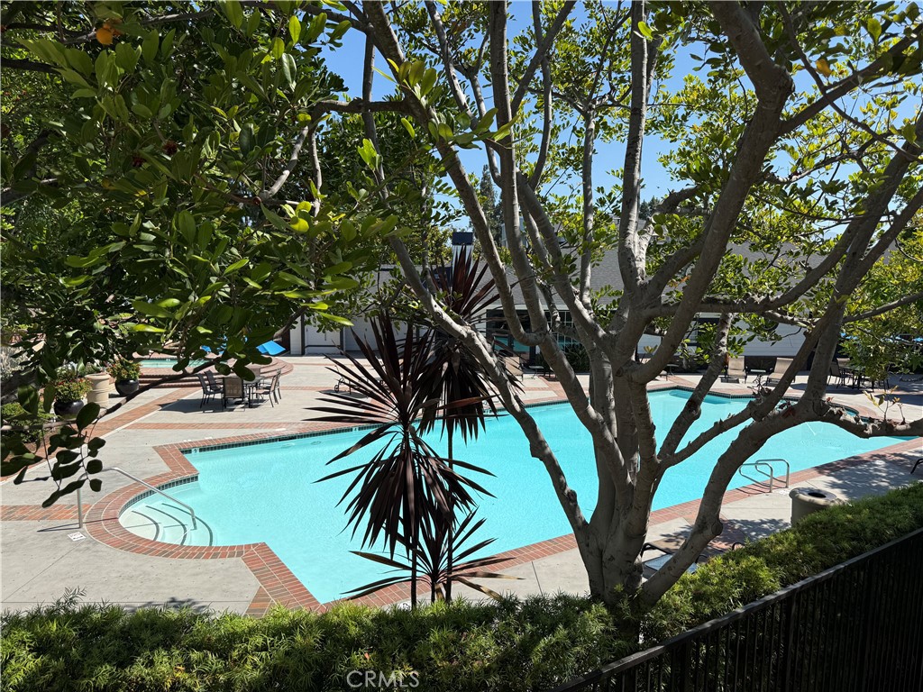 23412 Pacific Park Drive 36D