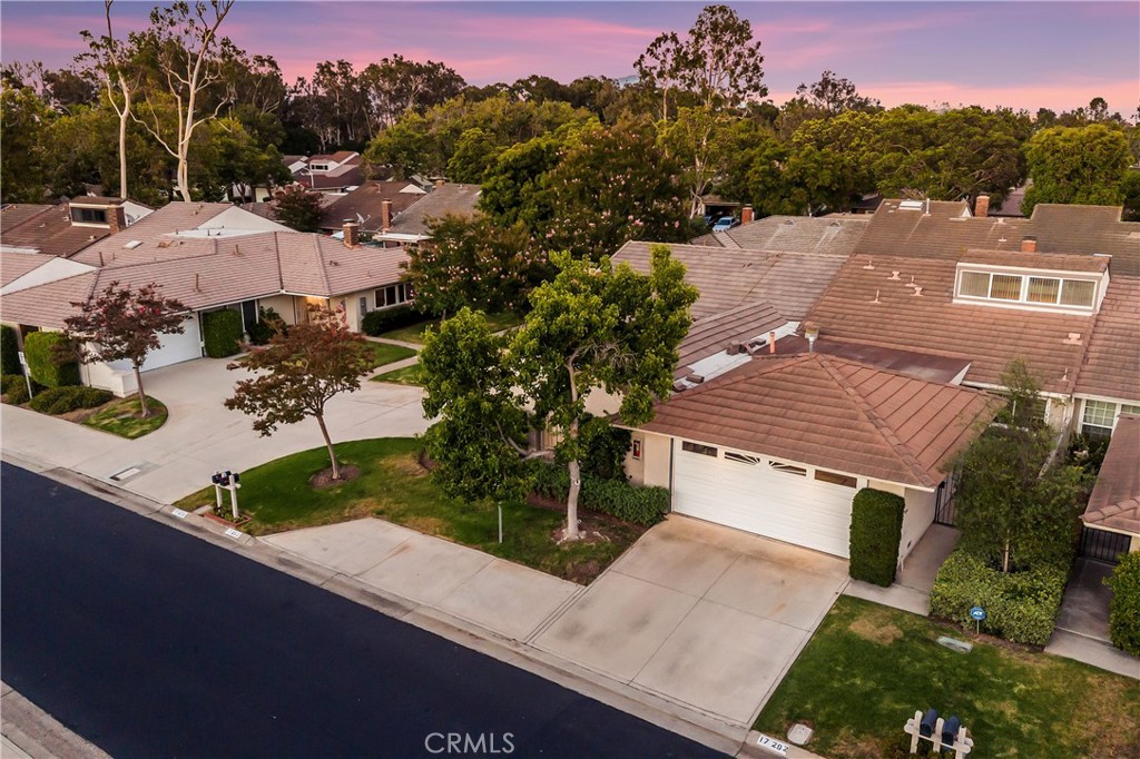 17292 Candleberry