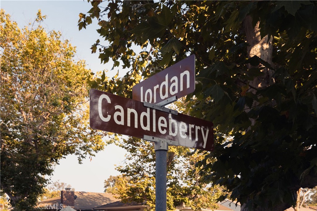 17292 Candleberry