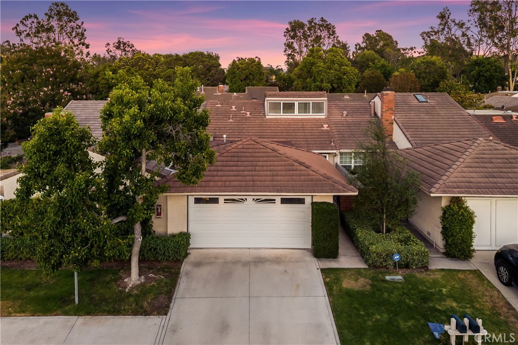 17292 Candleberry