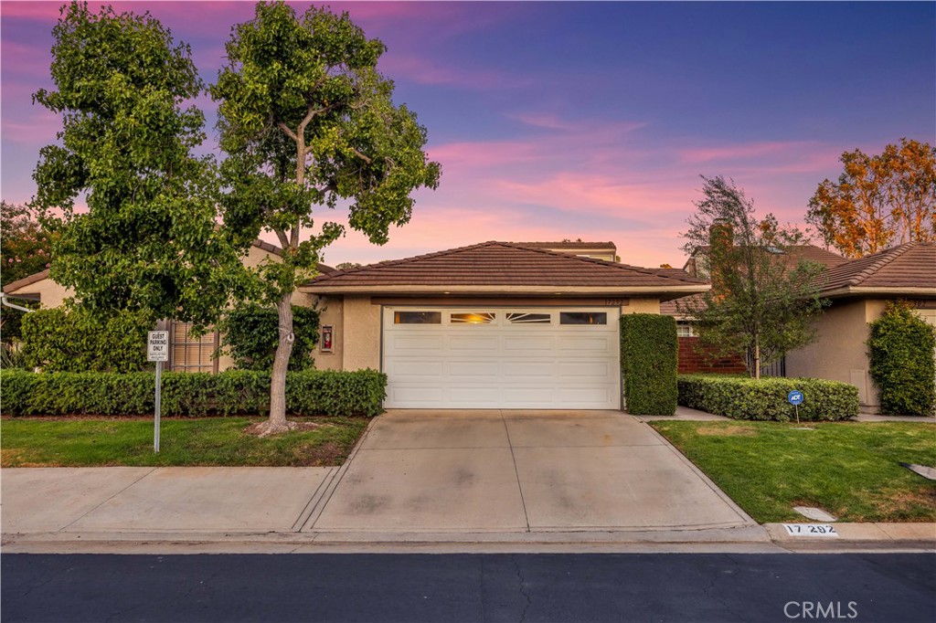 17292 Candleberry