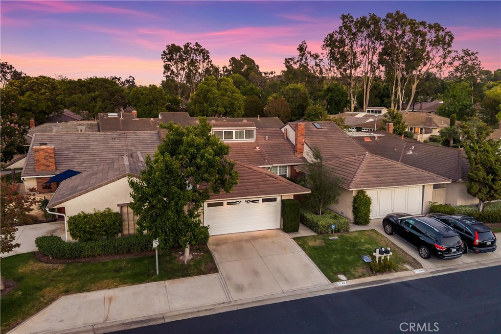 17292 Candleberry