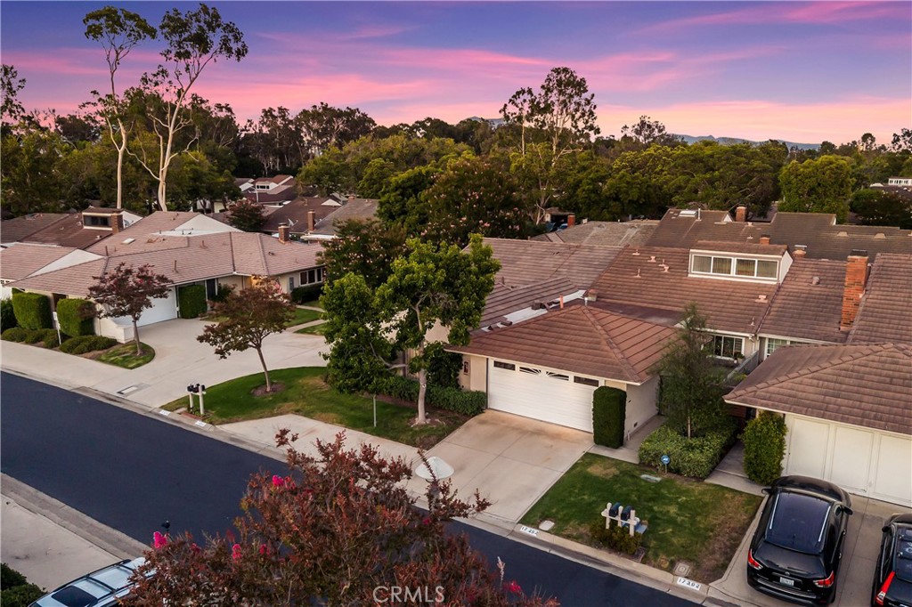 17292 Candleberry