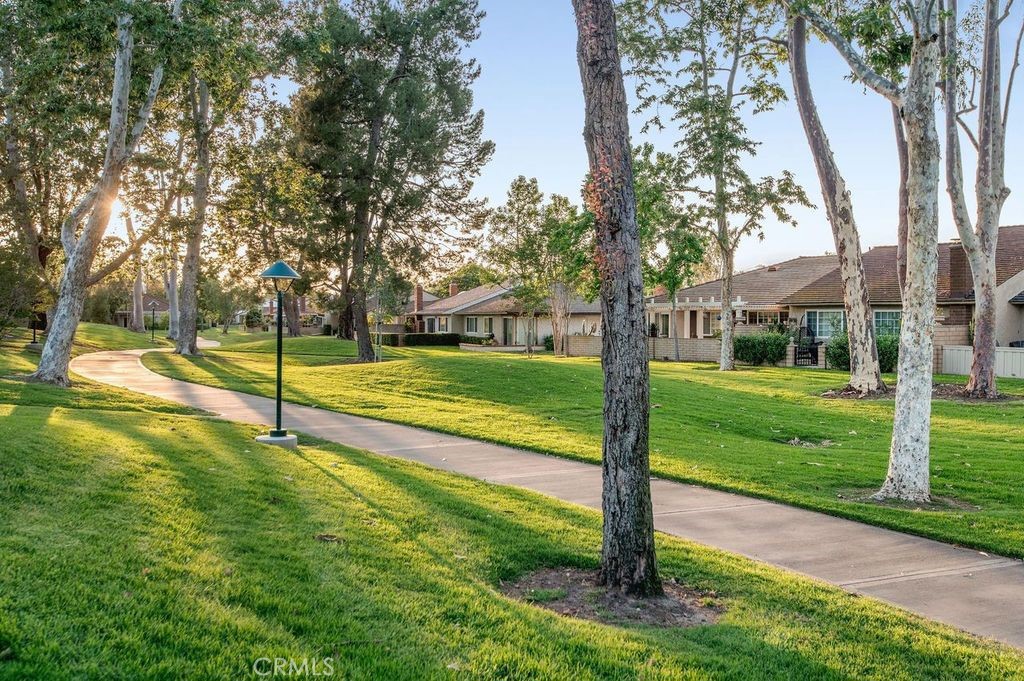 17292 Candleberry