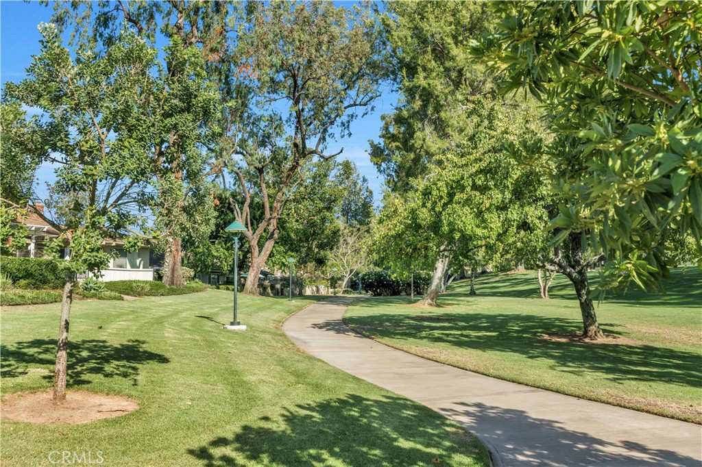 17292 Candleberry