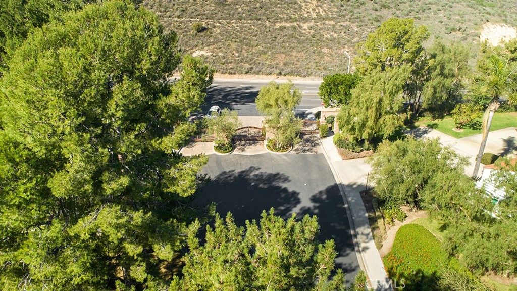 19 Sarena