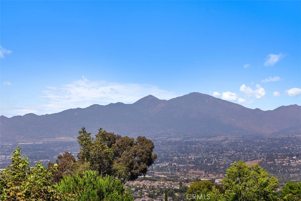 3180 Mountain View Drive