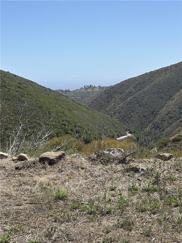 12110 Yellow Hill Road