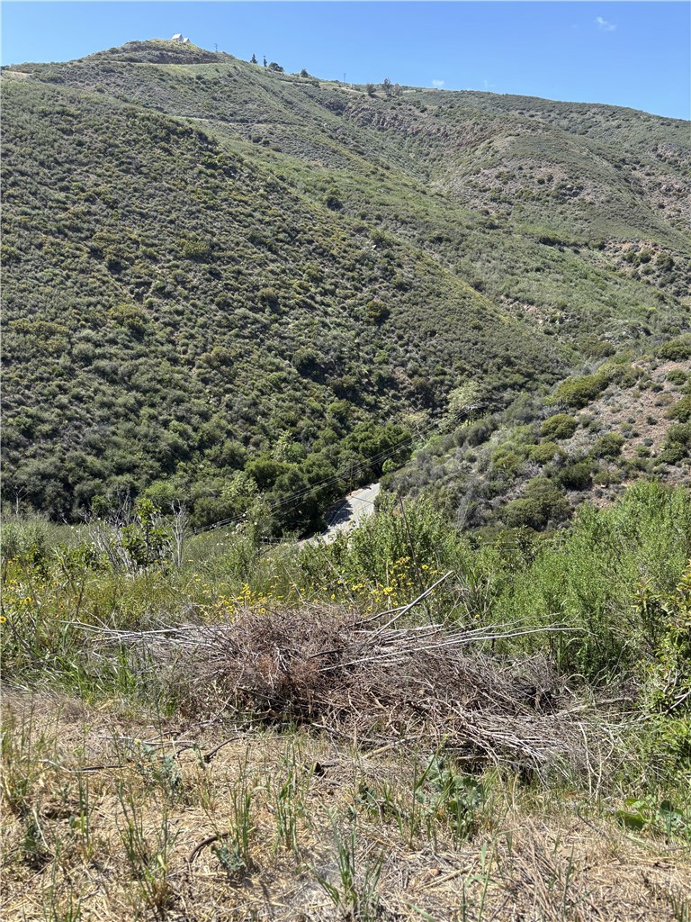 12110 Yellow Hill Road