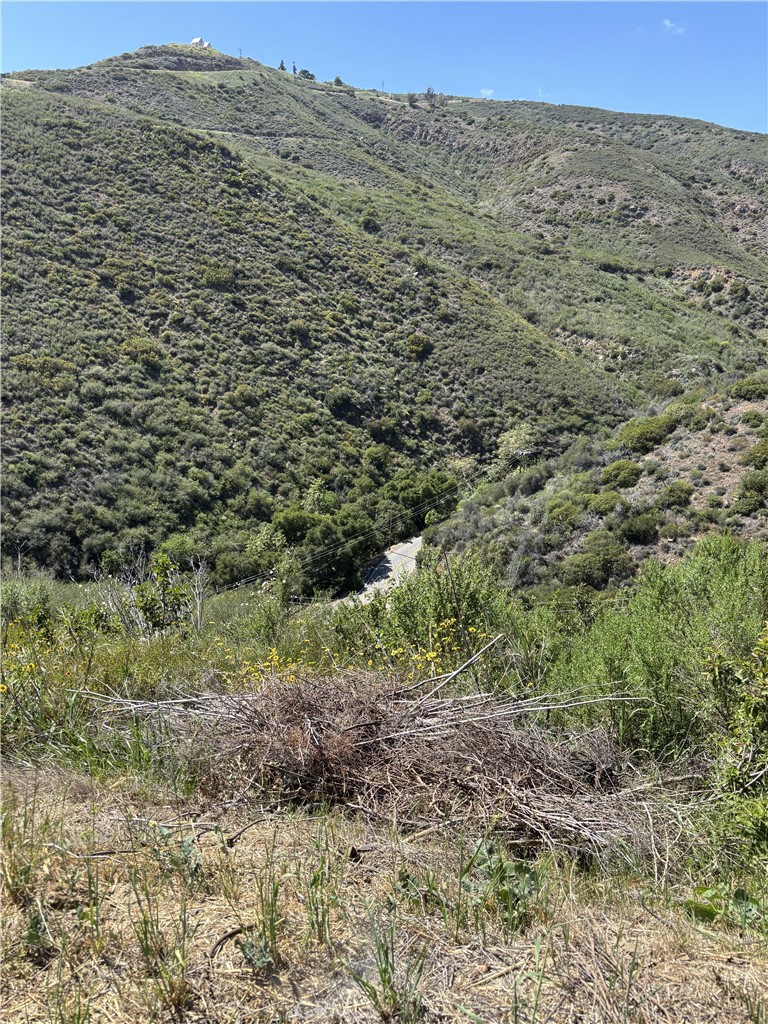 12110 Yellow Hill Road