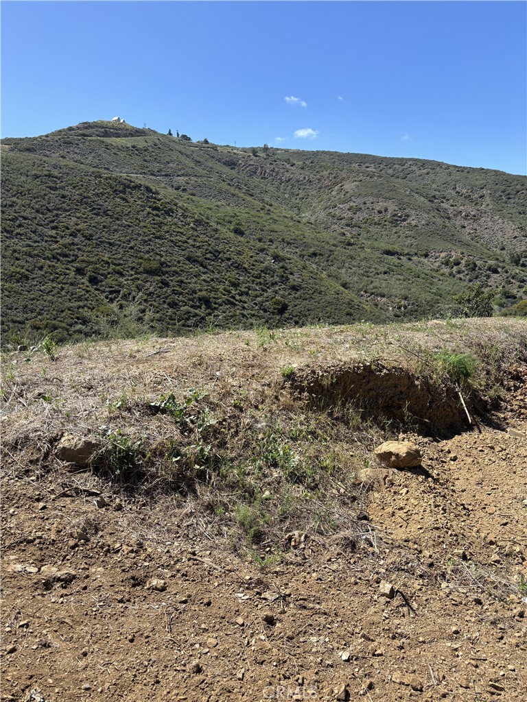 12110 Yellow Hill Road