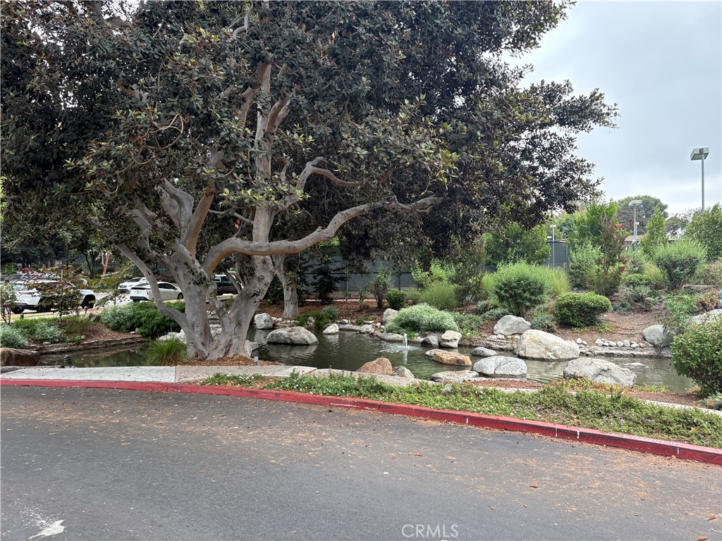 21 Streamwood