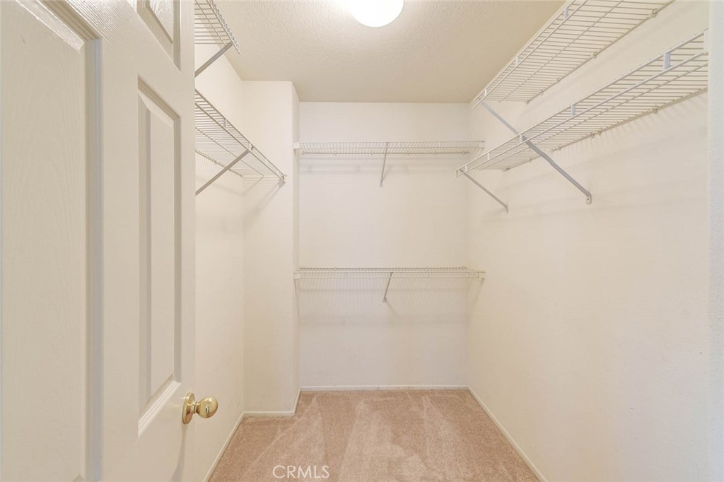 175 Cherrybrook Lane