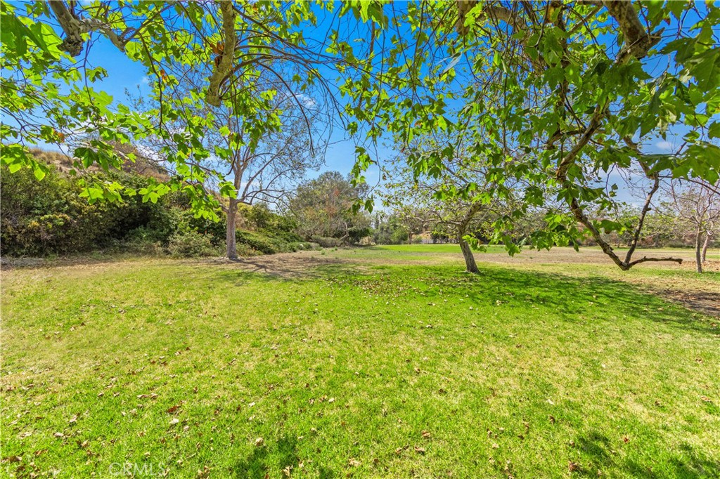 19224 Alamo Ln