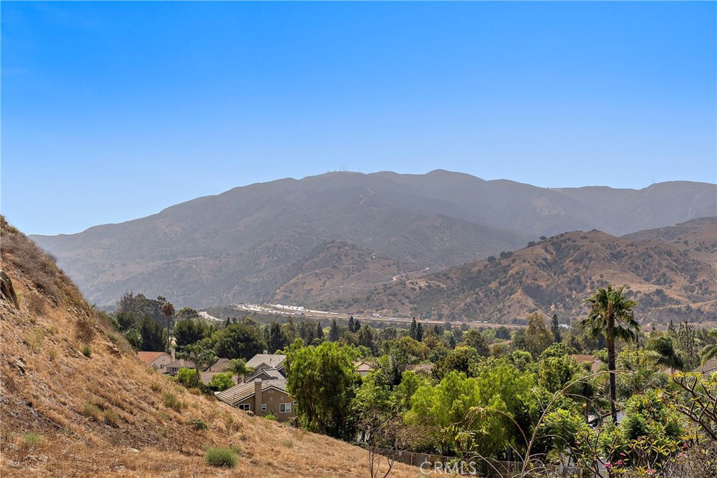 28145 Shady Meadow Lane