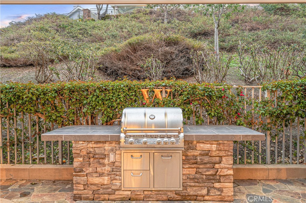 22432 Rosebriar