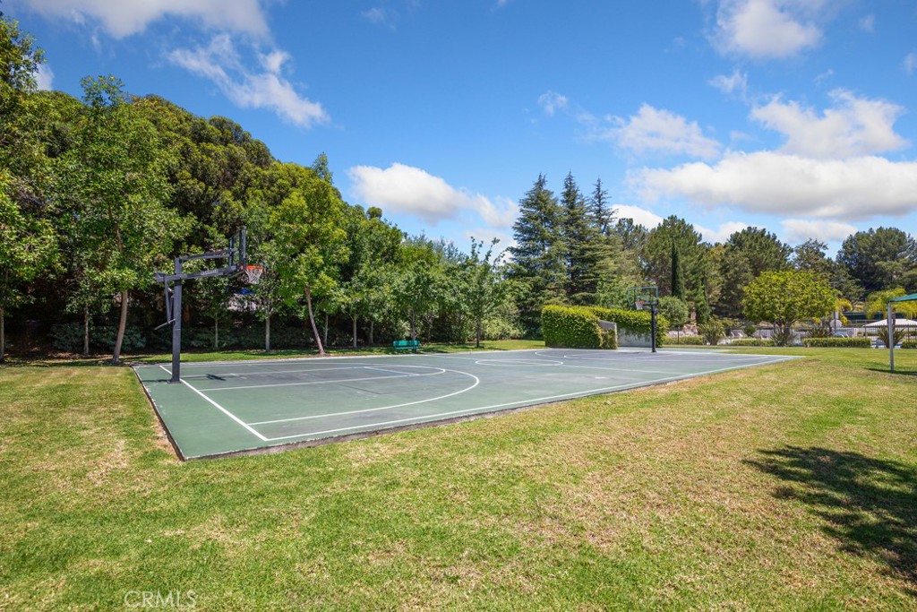 22432 Rosebriar