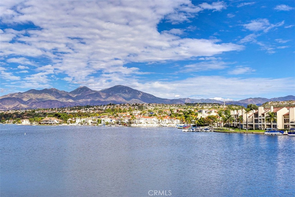 22432 Rosebriar