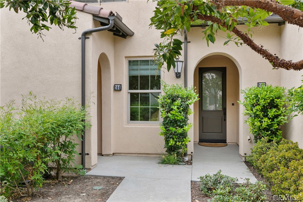 144 Briarberry