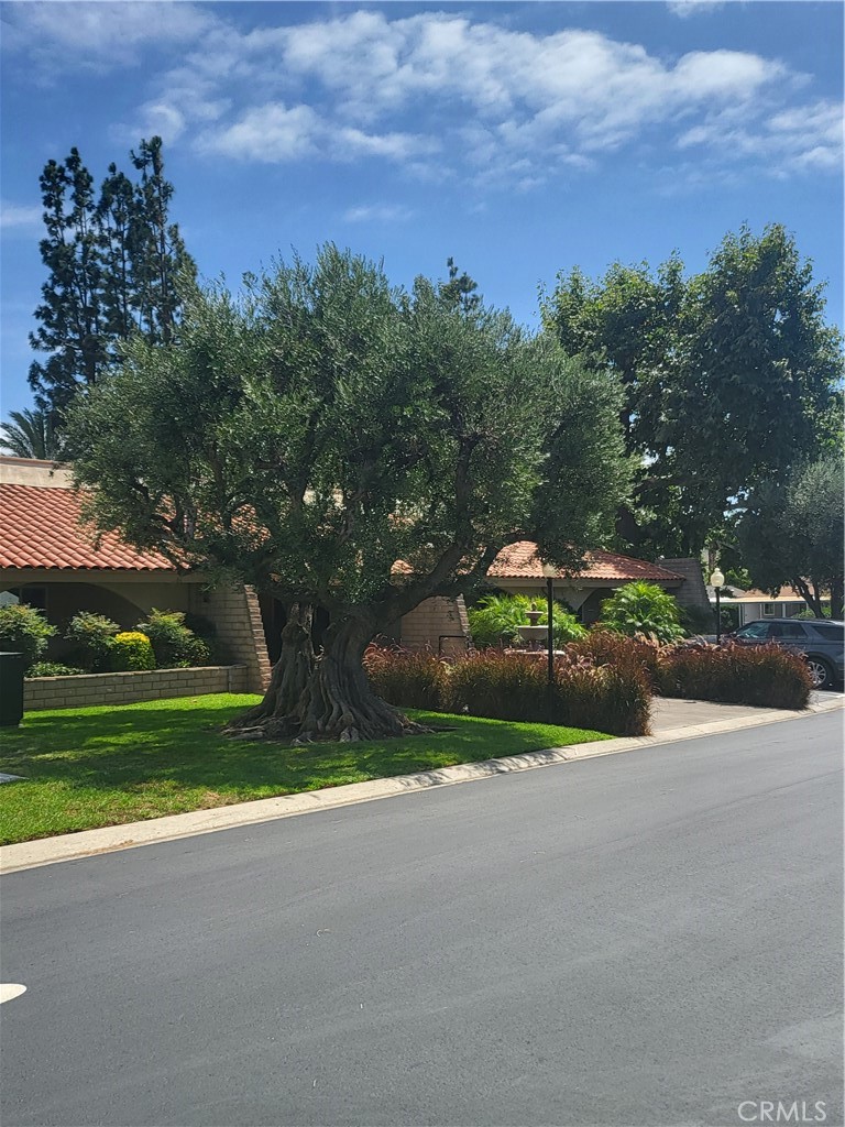 32302 Alipaz Street 230