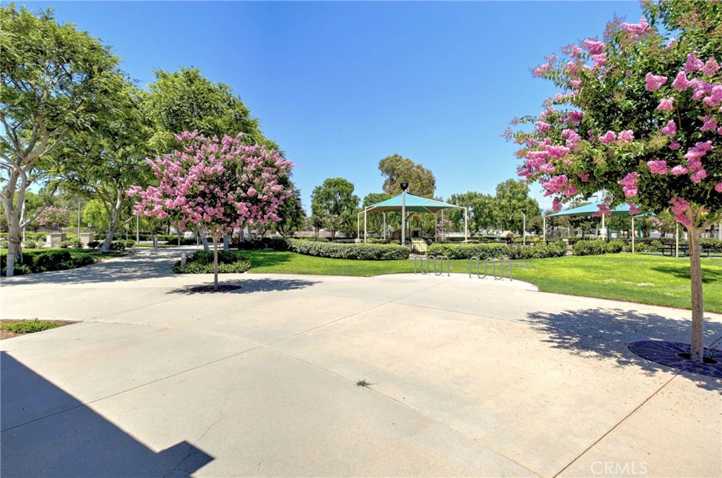 101 Carlsbad Lane