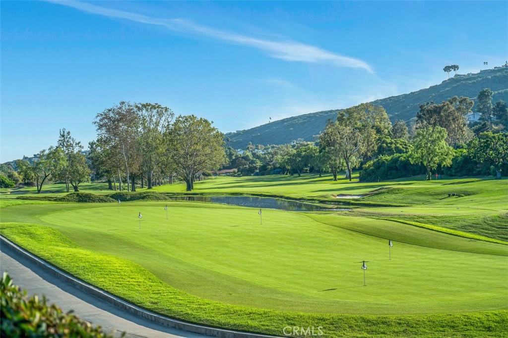 30732 Paseo Del Niguel