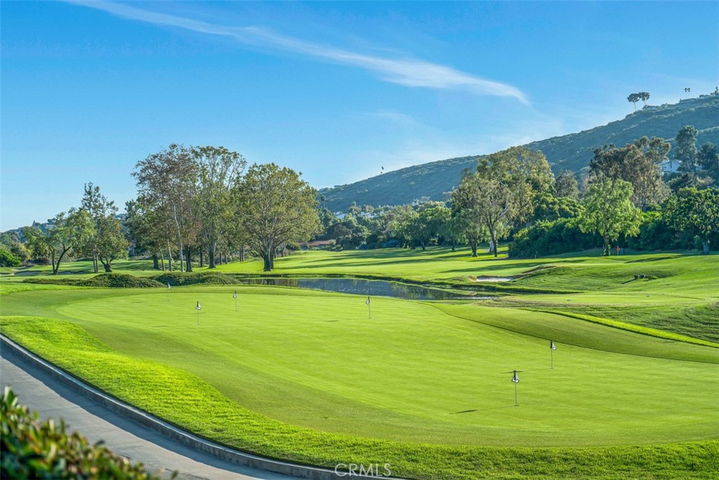 30732 Paseo Del Niguel