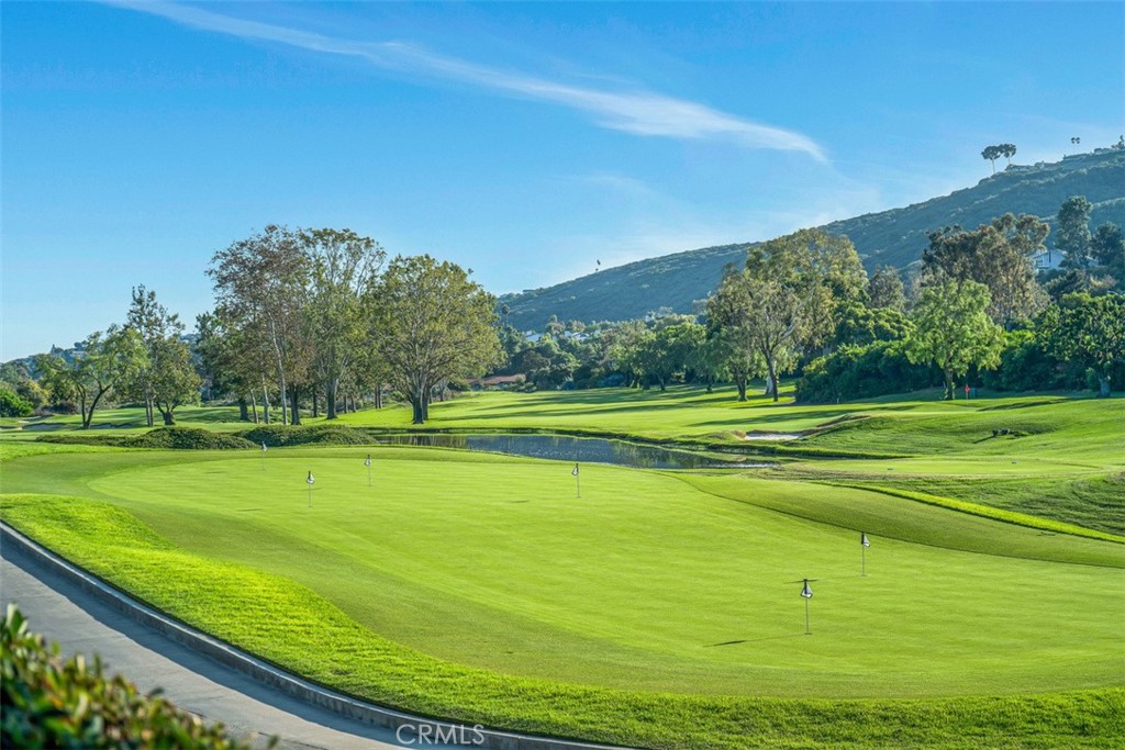 30732 Paseo Del Niguel